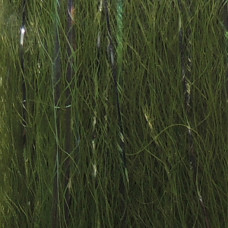 Стримерний матеріал Just Add H2O Mega Flash Blend, колір оливковий (Olive) Стримерний матеріал Just Add H2O Mega Flash Blend, колір оливковий (Olive)