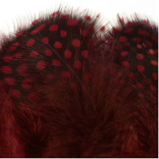 Пір'я цесарки Hareline Strung Guinea Feathers, бордові (CLARET) Пір'я цесарки Hareline Strung Guinea Feathers, бордові (CLARET)