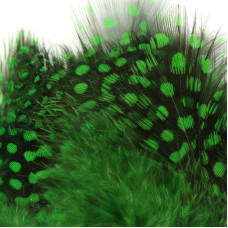Пір'я цесарки Hareline Strung Guinea Feathers, високогірній-зелені ( HIGHLANDER GREEN) Пір'я цесарки Hareline Strung Guinea Feathers, високогірній-зелені ( HIGHLANDER GREEN)