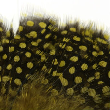 Пір'я цесарки Hareline Strung Guinea Feathers, оливкові (OLIVE) Пір'я цесарки Hareline Strung Guinea Feathers, оливкові (OLIVE)