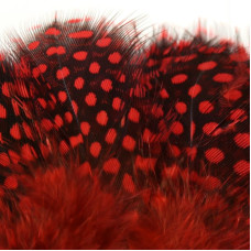 Пір'я цесарки Hareline Strung Guinea Feathers, червоні (RED) Пір'я цесарки Hareline Strung Guinea Feathers, червоні (RED)