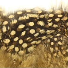 Пір'я цесарки Hareline Strung Guinea Feathers, тан (TAN) Пір'я цесарки Hareline Strung Guinea Feathers, тан (TAN)