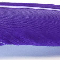 Пір'я індичі з біоти Hareline Turkey Biot Quills, пурпурні (PURPLE) Купити за 128.00 грн.