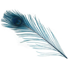Хвостові пір'я павича Spirit River Iridescent Dyed Peacock, блакитні (Kingfisher Blue)