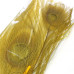Хвостові пір'я павича Spirit River Iridescent Dyed Peacock, оливково-золотисті (Golden Stone) Хвостові пір'я павича Spirit River Iridescent Dyed Peacock, оливково-золотисті (Golden Stone)