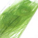 Хвостові пір'я павича Spirit River Iridescent Dyed Peacock, світло-зелені ( Olive Dun) Хвостові пір'я павича Spirit River Iridescent Dyed Peacock, світло-зелені ( Olive Dun)