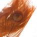 Хвостові пір'я павича Spirit River Iridescent Dyed Peacock, помаранчеві (Orange) Хвостові пір'я павича Spirit River Iridescent Dyed Peacock, помаранчеві (Orange)