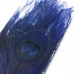 Хвостові пір'я павича Spirit River Iridescent Dyed Peacock, яскраво-сині (Royal Blue) Хвостові пір'я павича Spirit River Iridescent Dyed Peacock, яскраво-сині (Royal Blue)