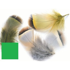 Пір'я з боків французької куріпки Veniard French Partridge Hackles Green, зелені (Green)