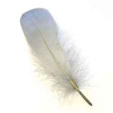 Плечові пера гусака Veniard Goose Shoulders (Soft), блакитно-сірі (Blue Dun) Плечові пера гусака Veniard Goose Shoulders (Soft), блакитно-сірі (Blue Dun)