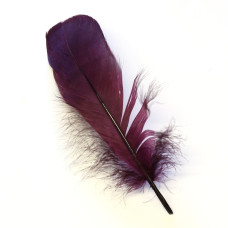 Плечові пера гусака Veniard Goose Shoulders (Soft), темно-бордові (Dark Claret) Плечові пера гусака Veniard Goose Shoulders (Soft), темно-бордові (Dark Claret)