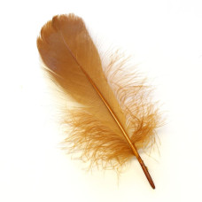 Плечові пера гусака Veniard Goose Shoulders (Soft), руді (Ginger) Плечові пера гусака Veniard Goose Shoulders (Soft), руді (Ginger)