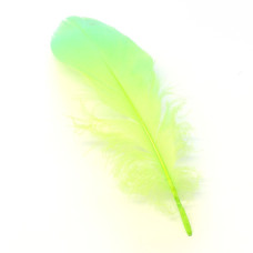Плечові пера гусака Veniard Goose Shoulders (Soft), салатові (Insect Green) Плечові пера гусака Veniard Goose Shoulders (Soft), салатові (Insect Green)