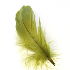 Плечові пера гусака Veniard Goose Shoulders (Soft), оливкові (Medium Olive) Плечові пера гусака Veniard Goose Shoulders (Soft), оливкові (Medium Olive)
