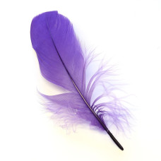 Плечові пера гусака Veniard Goose Shoulders (Soft), пурпурні (Purple) Плечові пера гусака Veniard Goose Shoulders (Soft), пурпурні (Purple)