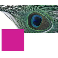 Хвостові пір'я павича з "оком" Veniard Peacock Eye Top, червоно-бордові (Magenta)