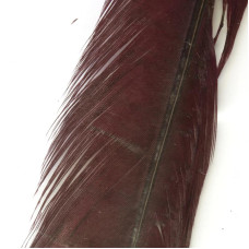 Перо фарбоване з хвоста звичайного фазана Veniard Cock Pheasant Tail Colour Extracted & Dyed, темно-бордове (Claret)
