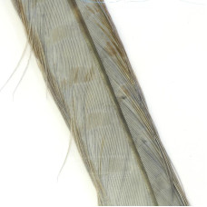 Перо фарбоване з хвоста звичайного фазана Veniard Cock Pheasant Tail Colour Extracted & Dyed, сіра чапля (Heron Grey)