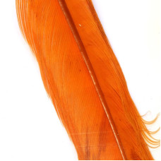 Перо фарбоване з хвоста звичайного фазана Veniard Cock Pheasant Tail Colour Extracted & Dyed, помаранчеве (Orange)