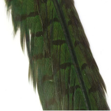 Пір'я з хвоста фазана звичайного Veniard Cock Pheasant Centre Tails, зелені (Green)