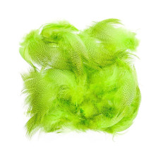 Пір'я з грудей селезня MALLARD BARRED FLANK, колір флуо шартрез (FL.CHARTREUSE) Пір'я з грудей селезня MALLARD BARRED FLANK, колір флуо шартрез (FL.CHARTREUSE)