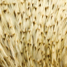 Скальп для сухих мушок Wapsi Dry Fly Rooster Neck, грейд PRIME, шиншила (CHINCHILLA) Скальп для сухих мушок Wapsi Dry Fly Rooster Neck, грейд PRIME, шиншила (CHINCHILLA)