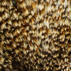 Скальп для сухих мушок Wapsi Dry Fly Rooster Neck, грейд PRIME, коричневий гриззли (CREE) Скальп для сухих мушок Wapsi Dry Fly Rooster Neck, грейд PRIME, коричневий гриззли (CREE)