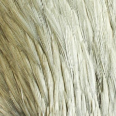 Скальп для сухих мушок Wapsi Dry Fly Rooster Neck, грейд 1, коричнево-сірий (DUN) Скальп для сухих мушок Wapsi Dry Fly Rooster Neck, грейд 1, коричнево-сірий (DUN)