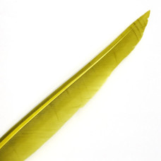 Махові пера качки Wapsi Duck Quills, золотисто-оливкові (GOLDEN OLIVE) Махові пера качки Wapsi Duck Quills, золотисто-оливкові (GOLDEN OLIVE)
