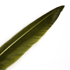 Махові пера качки Wapsi Duck Quills, оливкові (OLIVE) Махові пера качки Wapsi Duck Quills, оливкові (OLIVE)