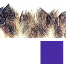 Пір'я з грудей сірої качки Wapsi Gadwall Barred Flank, пурпурні (PURPLE) Пір'я з грудей сірої качки Wapsi Gadwall Barred Flank, пурпурні (PURPLE)