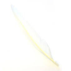 Махові пера гусака Wapsi Goose Quills, білі (WHITE) Махові пера гусака Wapsi Goose Quills, білі (WHITE)