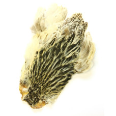 Скальп курки Wapsi Hen Neck, баджер (BADGER) Скальп курки Wapsi Hen Neck, баджер (BADGER)