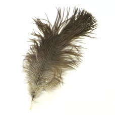 Міні-перо страуса Wapsi Ostrich Mini Plume, натуральне сіре (NATURAL GRAY) Міні-перо страуса Wapsi Ostrich Mini Plume, натуральне сіре (NATURAL GRAY)