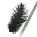 Міні-перо страуса Wapsi Ostrich Mini Plume, натуральне сіре (NATURAL GRAY) Міні-перо страуса Wapsi Ostrich Mini Plume, натуральне сіре (NATURAL GRAY)