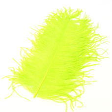 Перо страуса Wapsi Ostrich Plume, шартрез (FL CHARTREUSE) Перо страуса Wapsi Ostrich Plume, шартрез (FL CHARTREUSE)