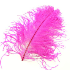 Перо страуса Wapsi Ostrich Plume, вишневе (FUCHSIA) Перо страуса Wapsi Ostrich Plume, вишневе (FUCHSIA)