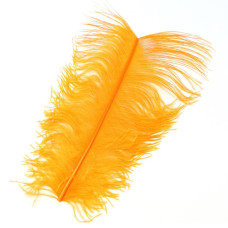 Перо страуса Wapsi Ostrich Plume, помаранчеве (ORANGE) Перо страуса Wapsi Ostrich Plume, помаранчеве (ORANGE)