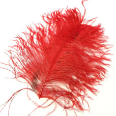 Перо страуса Wapsi Ostrich Plume, червоне (RED) Перо страуса Wapsi Ostrich Plume, червоне (RED)
