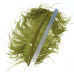Перо страуса Wapsi Ostrich Plume, шартрез (FL CHARTREUSE) Перо страуса Wapsi Ostrich Plume, шартрез (FL CHARTREUSE)