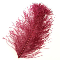 Перо страуса Wapsi Ostrich Plume, бордове (WINE) Перо страуса Wapsi Ostrich Plume, бордове (WINE)