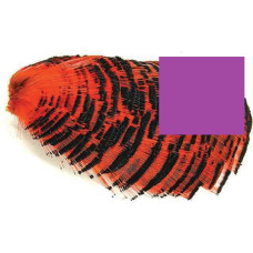 Шия золотого фазана Wapsi GOLDEN PHEASANT TIPPET SECTION, пурпурна (PURPLE)