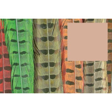 Пір'я з хвоста фазана звичайного Wapsi RINGNECK TAIL FEATHERS, знебарвлені руді (BLEACHED GINGER) Пір'я з хвоста фазана звичайного Wapsi RINGNECK TAIL FEATHERS, знебарвлені руді (BLEACHED GINGER)