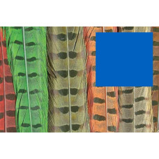 Пір'я з хвоста фазана звичайного Wapsi RINGNECK TAIL FEATHERS, синій (BLUE) Пір'я з хвоста фазана звичайного Wapsi RINGNECK TAIL FEATHERS, синій (BLUE)