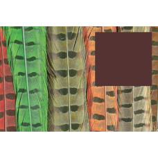 Пір'я з хвоста фазана звичайного Wapsi RINGNECK TAIL FEATHERS, шоколадно- коричневий (CHOCOLATE BROWN) Пір'я з хвоста фазана звичайного Wapsi RINGNECK TAIL FEATHERS, шоколадно- коричневий (CHOCOLATE BROWN)
