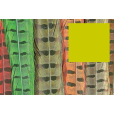Пір'я з хвоста фазана звичайного Wapsi RINGNECK TAIL FEATHERS, золотисто-жовті (GOLDEN YELLOW) Пір'я з хвоста фазана звичайного Wapsi RINGNECK TAIL FEATHERS, золотисто-жовті (GOLDEN YELLOW)