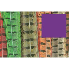 Пір'я з хвоста фазана звичайного Wapsi RINGNECK TAIL FEATHERS, пурпурні (PURPLE) Пір'я з хвоста фазана звичайного Wapsi RINGNECK TAIL FEATHERS, пурпурні (PURPLE)