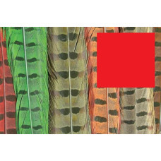 Пір'я з хвоста фазана звичайного Wapsi RINGNECK TAIL FEATHERS, червоні (RED) Пір'я з хвоста фазана звичайного Wapsi RINGNECK TAIL FEATHERS, червоні (RED)