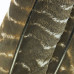 Махові індичі пір'я Wapsi Ozark Turkey Quill, чорні (CRICKET BLACK) Махові індичі пір'я Wapsi Ozark Turkey Quill, чорні (CRICKET BLACK)