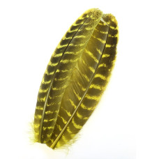 Махові індичі пір'я Wapsi Ozark Turkey Quill, жовті (HOPPER YELLOW) Махові індичі пір'я Wapsi Ozark Turkey Quill, жовті (HOPPER YELLOW)
